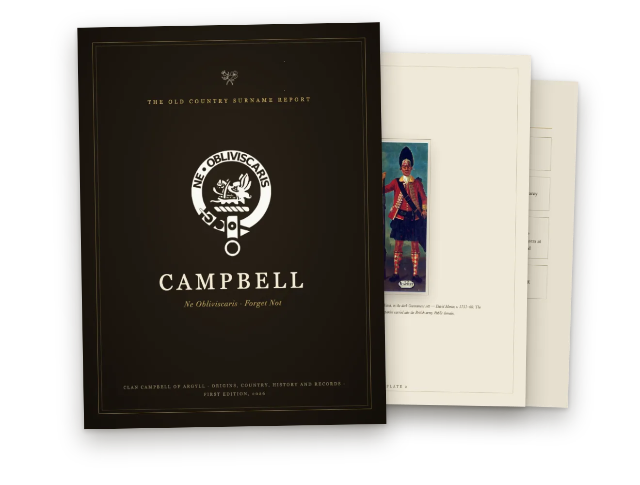 A Surname Report, cover and inside pages