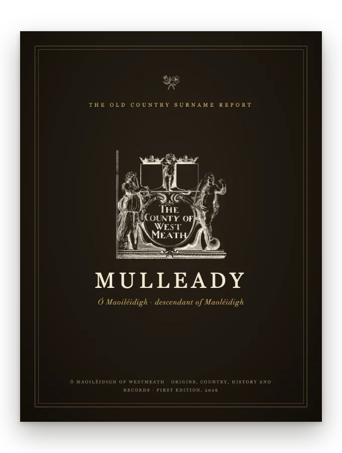 Mulleady Surname Report