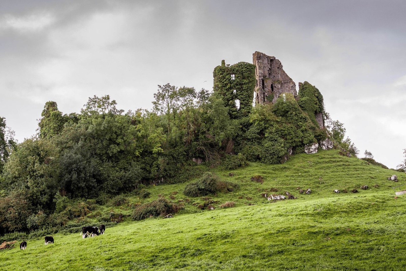 Carrigogunnell on its crag above the Shannon in County Limerick. Woulfe names this as the chief stronghold of the O'Briens of Pobblebrien, and Burke records a c