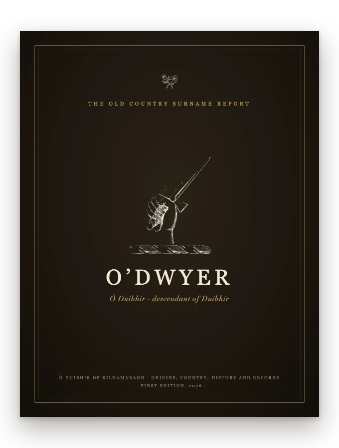 O'Dwyer Surname Report