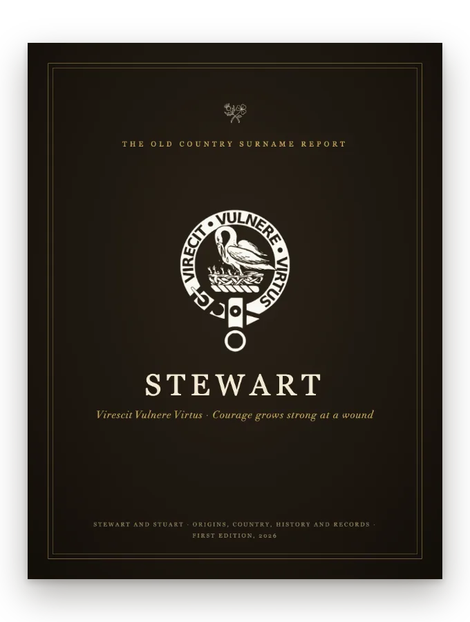 Stewart Surname Report