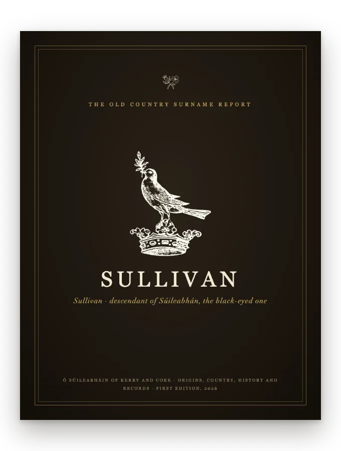 Sullivan Surname Report